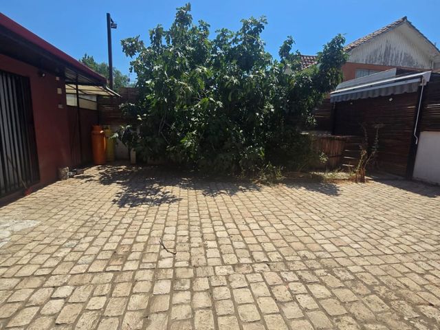 place photo 16