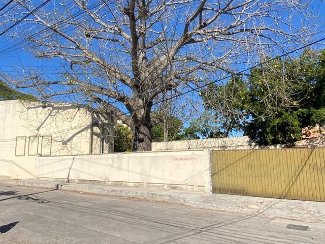 place photo 22