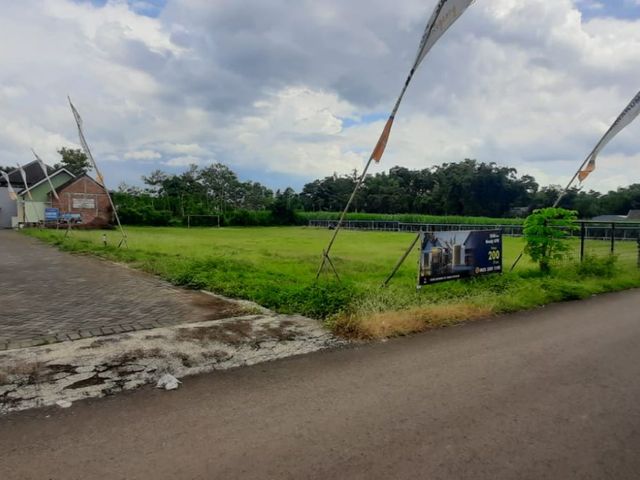 place photo 16