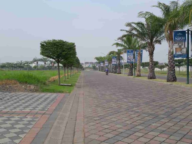 place photo 8