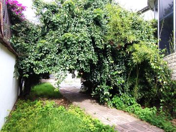 place photo 32