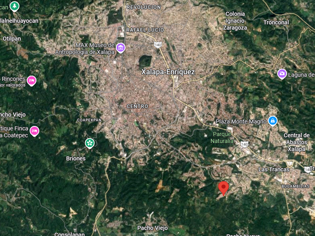 place photo 8