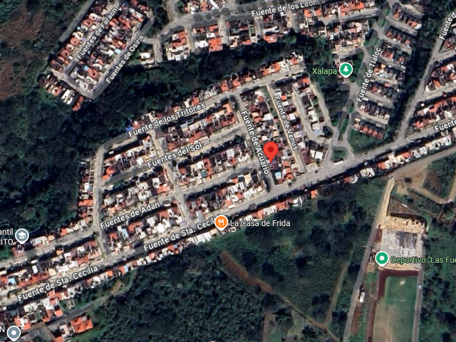 place photo 13