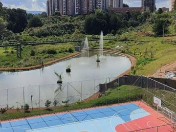 place photo 16