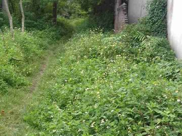 Mauk, TANGGERANG, Banten, Indonesia