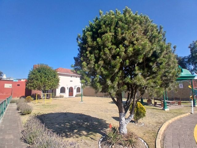place photo 23