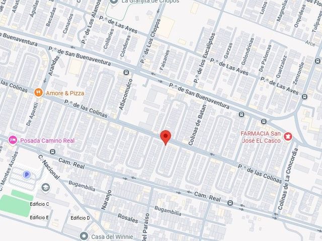 place photo 7
