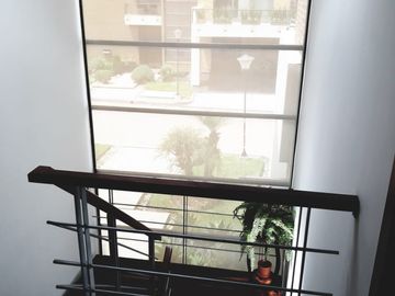 place photo 40