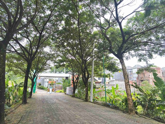 place photo 12