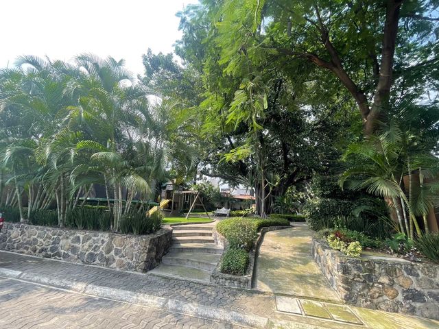 place photo 24
