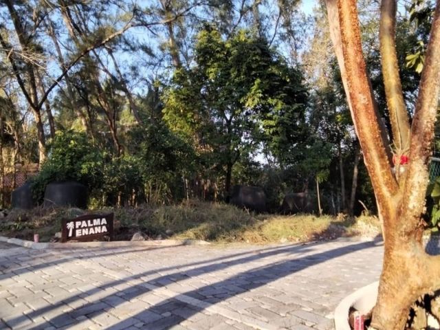place photo 1