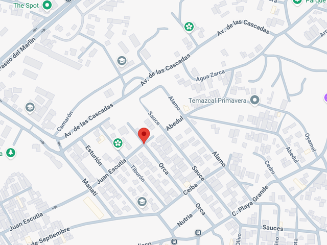 place photo 11