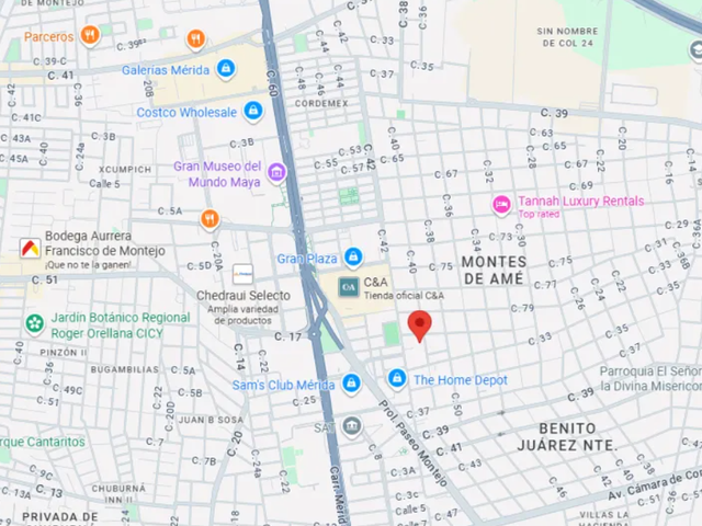 place photo 12