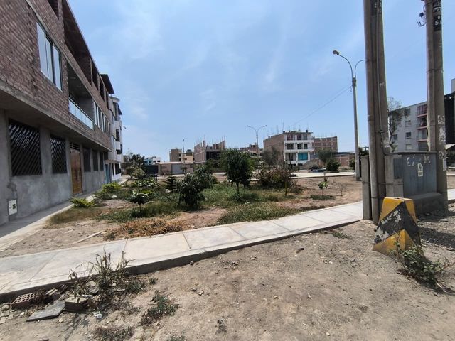 place photo 14