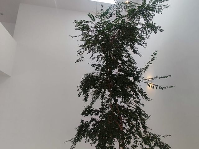 place photo 49