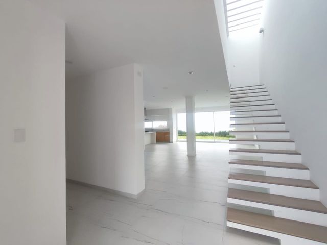 place photo 48