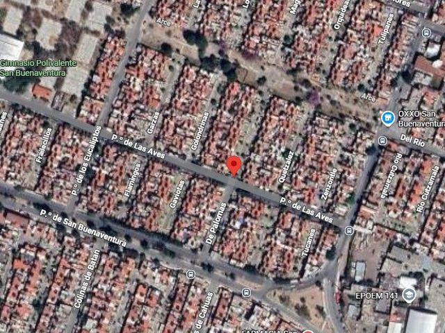 place photo 10