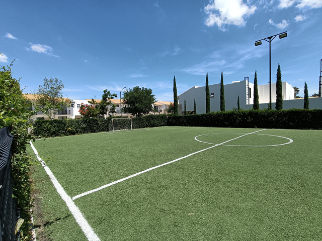 place photo 21