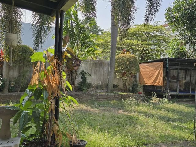 place photo 34