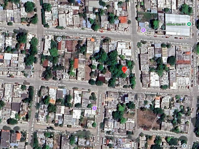 place photo 7