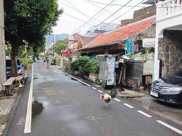 place photo 4