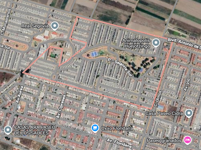place photo 9