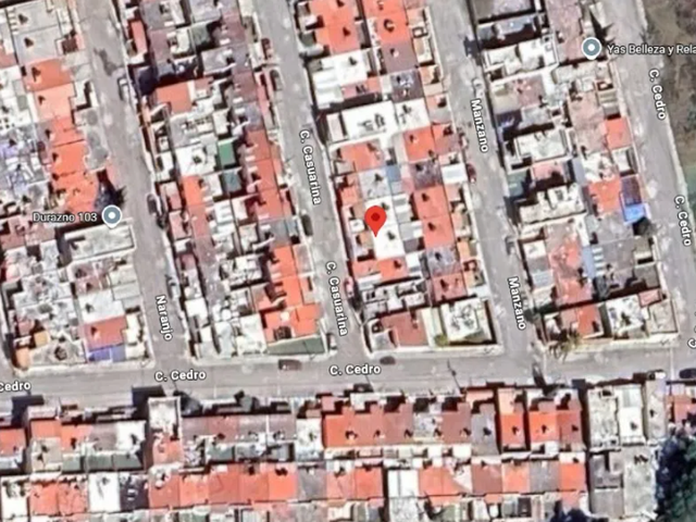 place photo 7