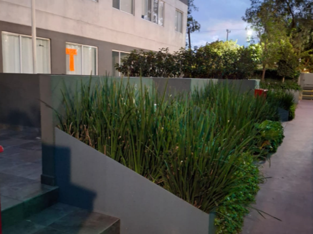 place photo 21
