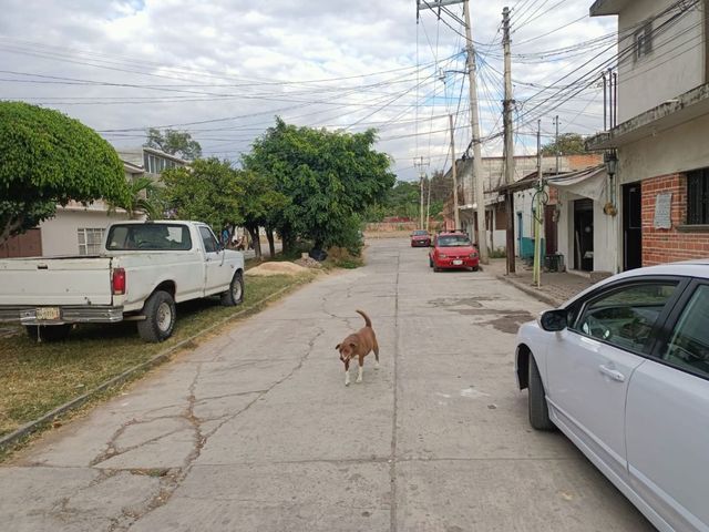 place photo 13