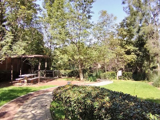 place photo 33