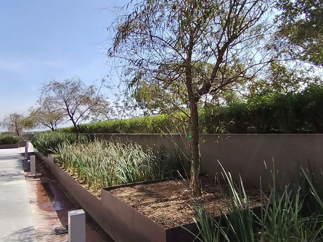 place photo 39