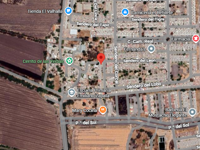 place photo 7