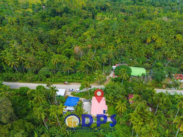 place photo 4