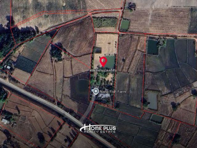 place photo 17
