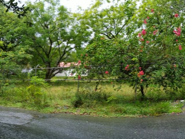 place photo 31