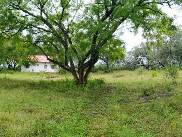place photo 33