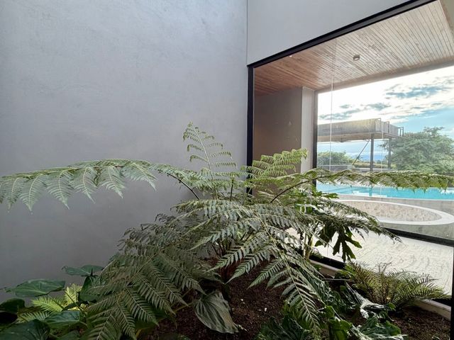 place photo 74