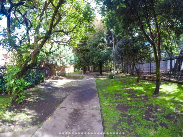 place photo 16