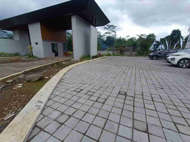 place photo 26