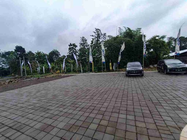 place photo 29