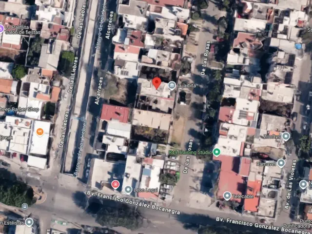 place photo 9