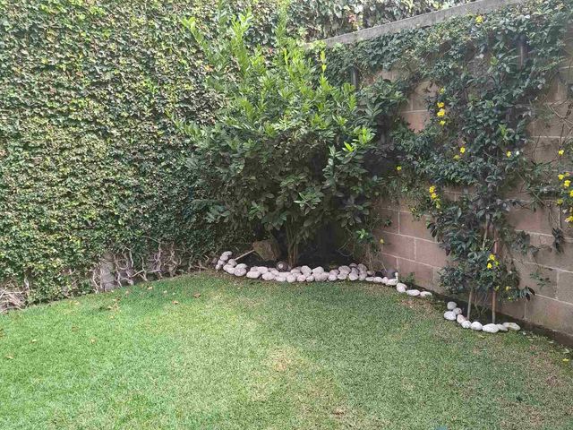 place photo 38