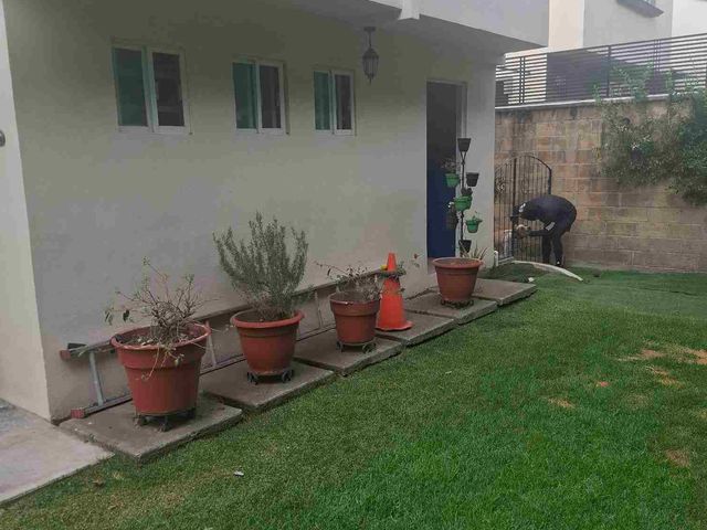 place photo 44