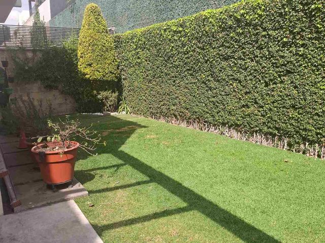 place photo 46
