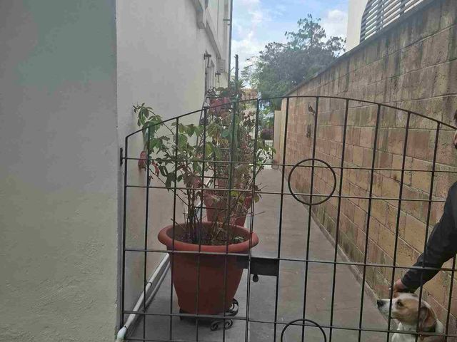 place photo 48