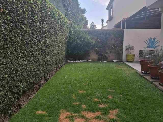 place photo 49