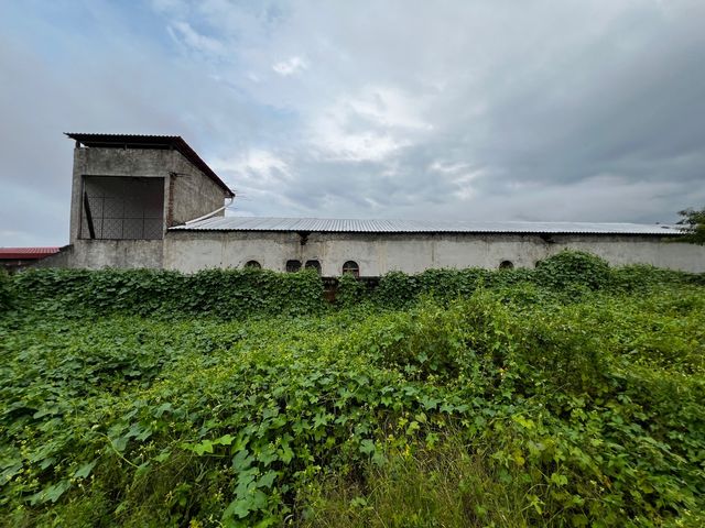 place photo 42