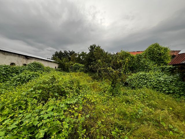 place photo 43
