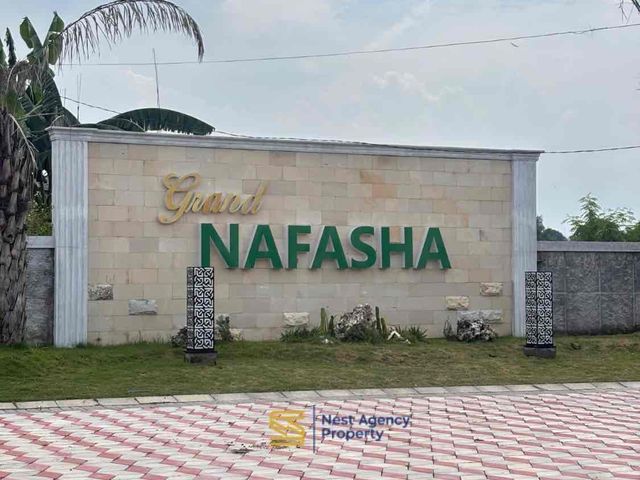 place photo 7