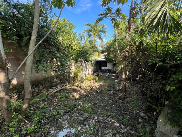 place photo 25